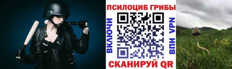 Галлюциногенные грибы мухоморы закладка Карпинск