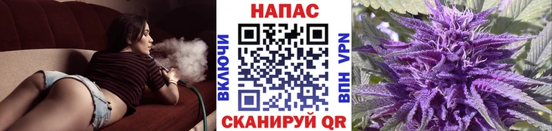 Марихуана гибрид  Карпинск 